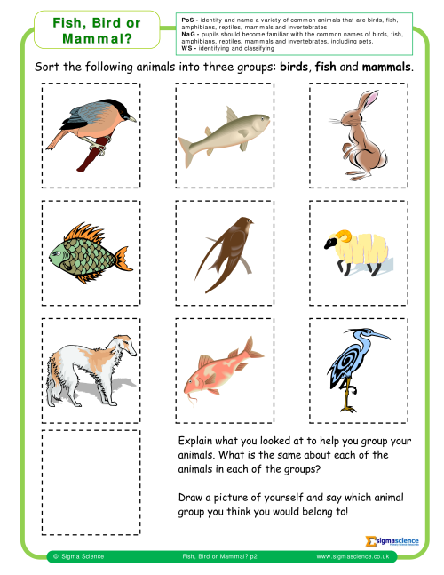 Y1 Fish, Bird or Mammal? | Sigma ScienceSigma Science