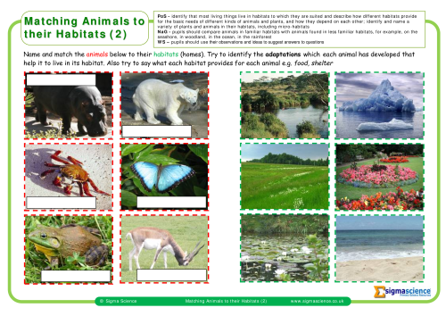 Y2 Matching Animals to their Habitats (2) | Sigma ScienceSigma Science