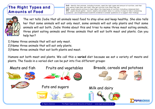 Y3 The Right Types and Amounts of Food | Sigma ScienceSigma Science